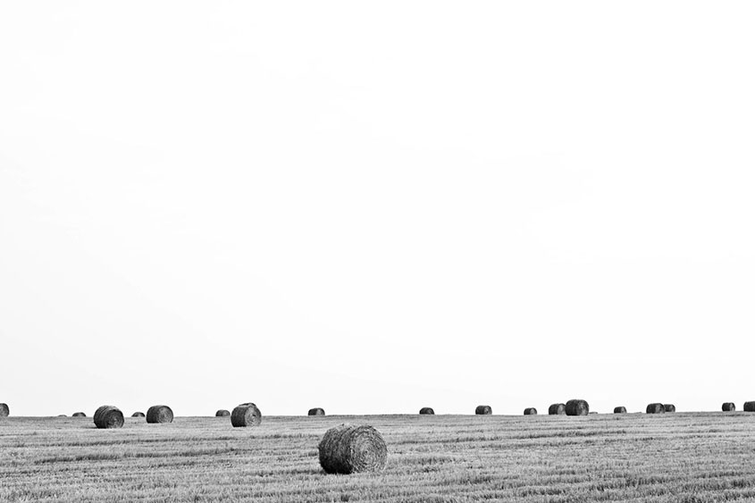 Deserted Landscapes — sport Alphapress