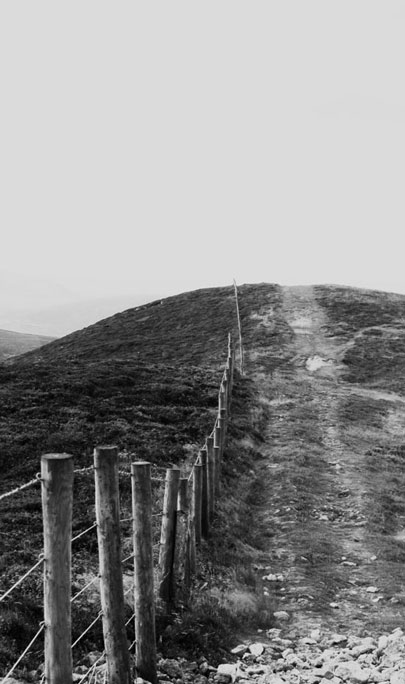 Fancy landscape — sport Alphapress